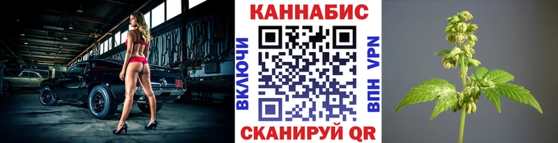 Марихуана OG Kush  купить  цена  Карачев 